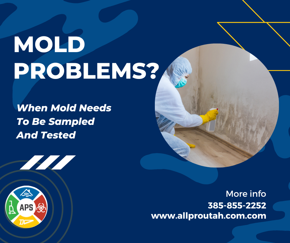 Understanding EPA Recommendations for Mold Sampling and Testing